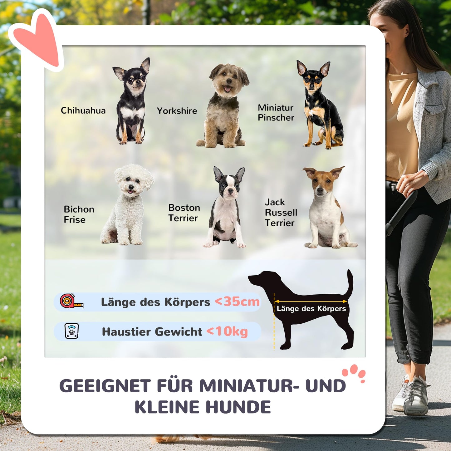 PawHut Klappbarer Haustier-Buggy für Hunde & Katzen